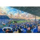 Ninian Park Stadium Fine Art Canvas - Cardiff City FC